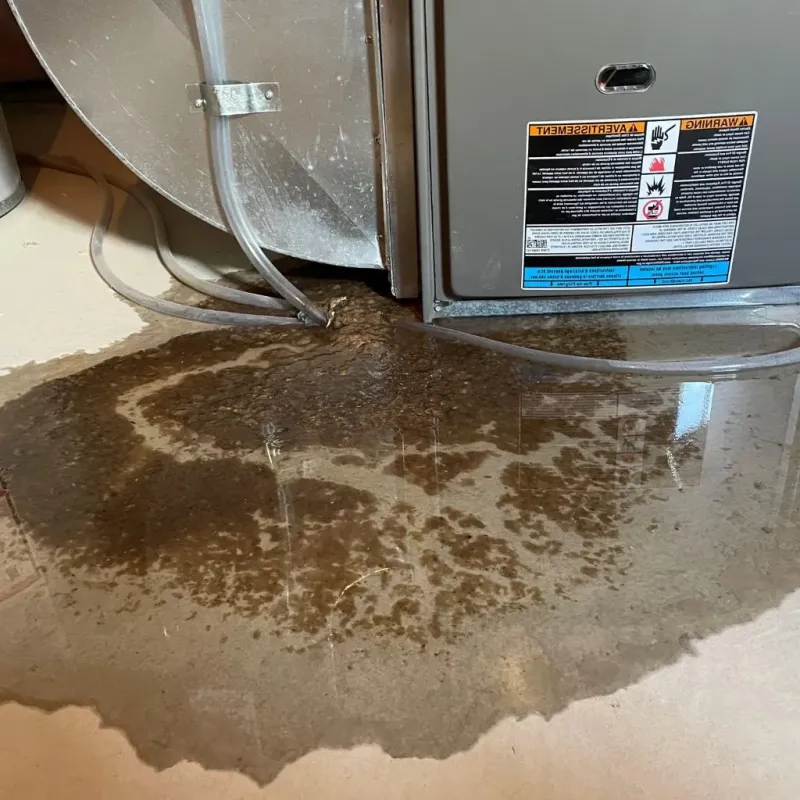 Pipe Burst and Leak Restoration in Ligonier, IN